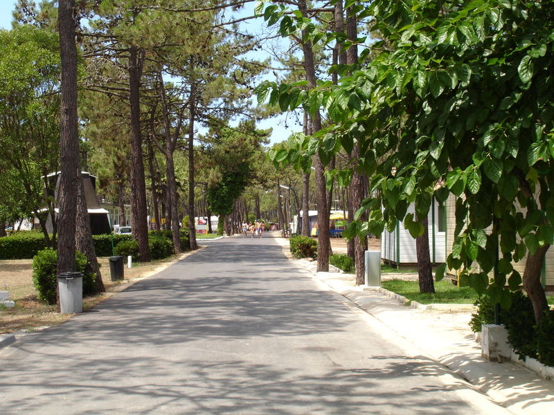 Parque De Campismo Orbitur Gala Hotel Figueira da Foz Kültér fotó