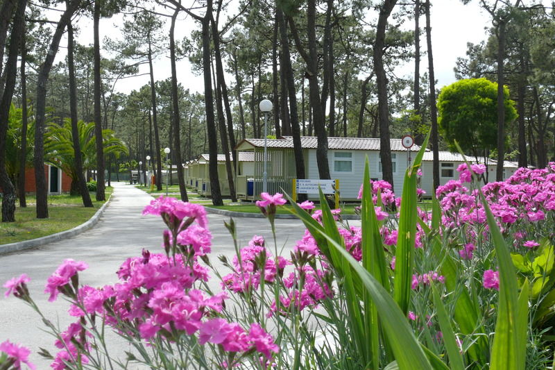 Parque De Campismo Orbitur Gala Hotel Figueira da Foz Kültér fotó